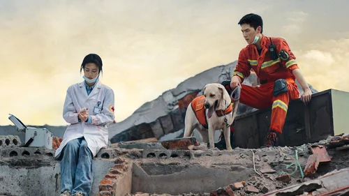 Fogos De Artificio Do Meu Coracao (Legendado)