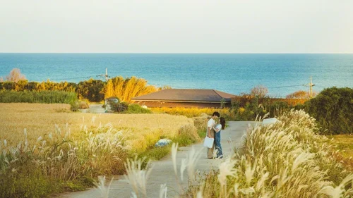 Minha Juventude (Legendado)