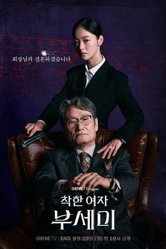 Ms. Incognito (Legendado) - Temporada 1