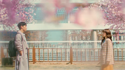 Search: WWW (Legendado)