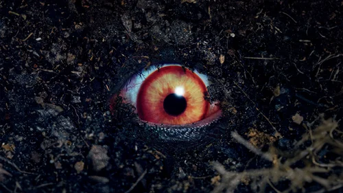 A Última Invocação