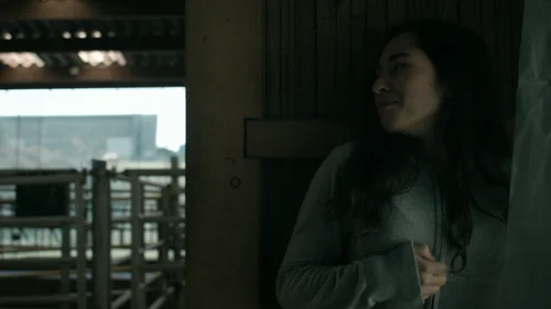 Les Animaux Anonymes