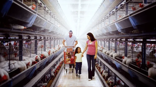 Contaminação: A Verdade Sobre o que Comemos