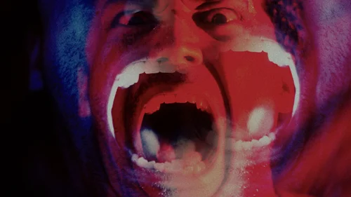 Enterre-me Quando Eu Morrer