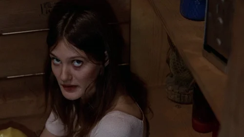 Hardcore: No Submundo do Sexo