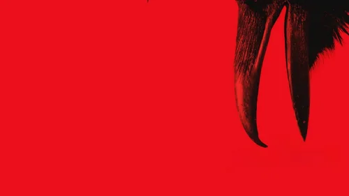 Harpia: Presença Maligna