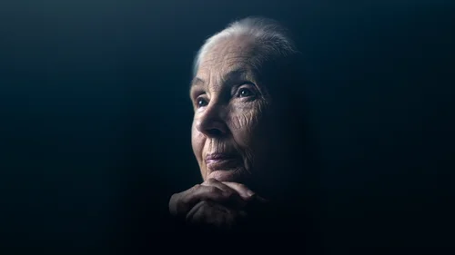 Jane Goodall: A Esperança