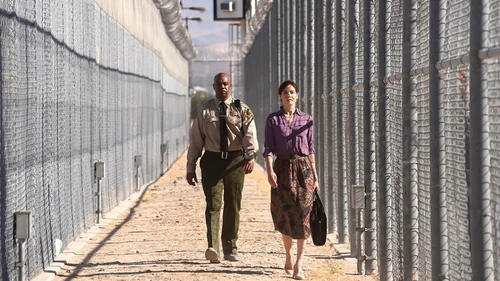 Justiça Sem Fronteiras