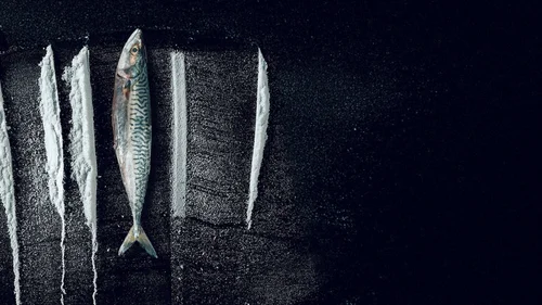 Mar Branco: A Surreal História de Rabo de Peixe