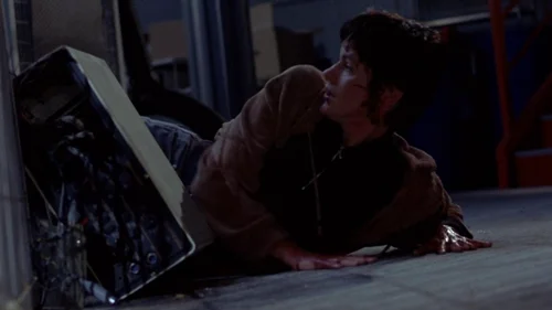 Max: Fidelidade Assassina