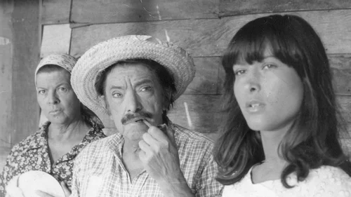 A Banda das Velhas Virgens