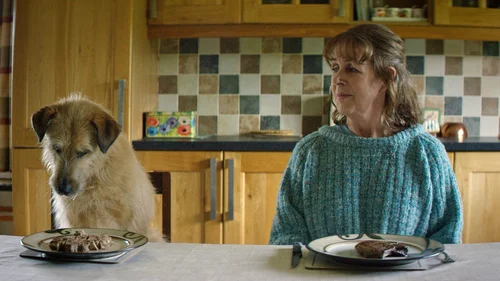 Meu Marido Virou um Cachorro