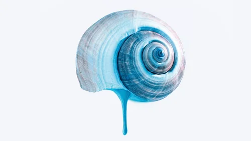 O Último Azul