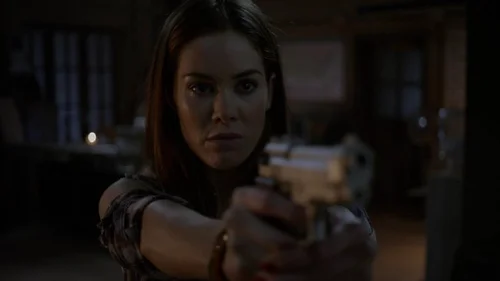 Pânico na Floresta 5