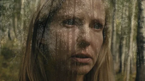 Questão de Sobrevivência