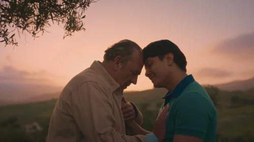 Se Você Tivesse Falado...