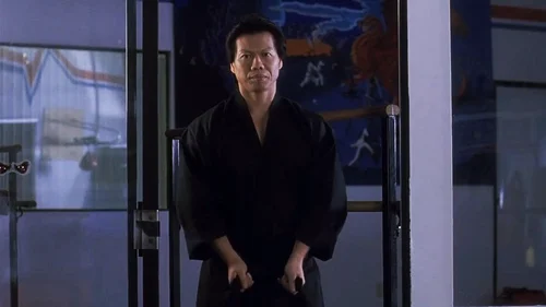 Shootfighter: O Combate Mortal