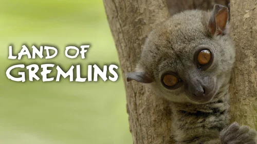 A Incrível Madagascar