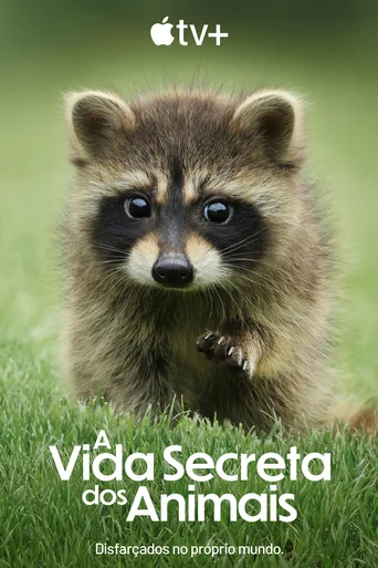 A Vida Secreta dos Animais - Temporada 1