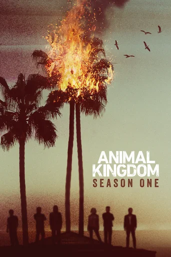 Animal Kingdom - Temporada 1