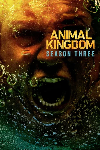 Animal Kingdom - Temporada 3