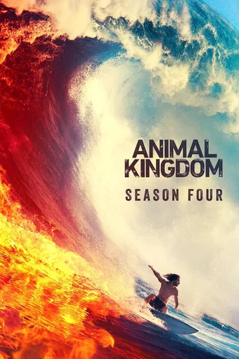 Animal Kingdom - Temporada 4