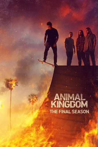 Animal Kingdom - Temporada 6
