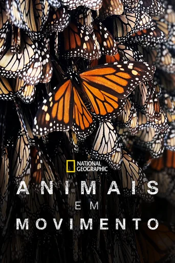 As Mais Incríveis Viagens de Animais - Temporada 1