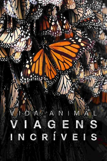 As Mais Incríveis Viagens de Animais