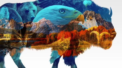 As Maravilhas dos Estados Unidos