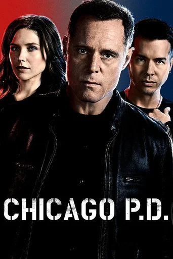 Chicago P.D.: Distrito 21 - Temporada 2