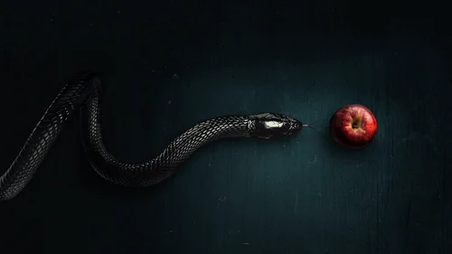 Evil: Contatos Sobrenaturais