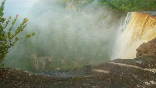 Febre do Ouro: América do Sul