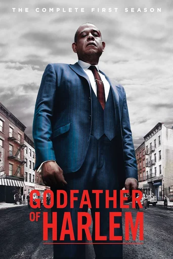 Godfather of Harlem - Temporada 1