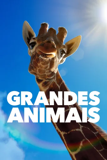 Grandes Animais - Temporada 1