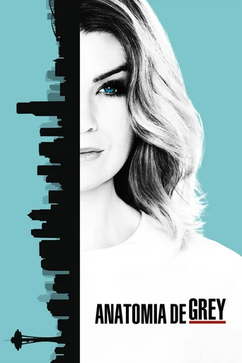 Grey's Anatomy - Temporada 13