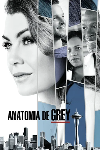Grey's Anatomy - Temporada 14