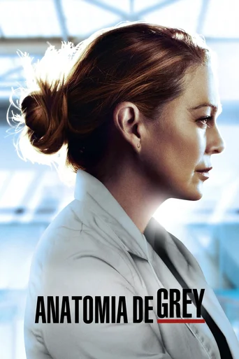 Grey's Anatomy - Temporada 17