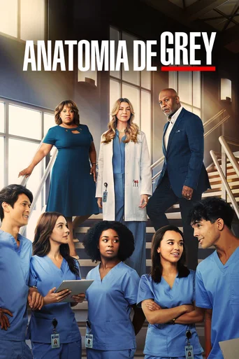 Grey's Anatomy - Temporada 19