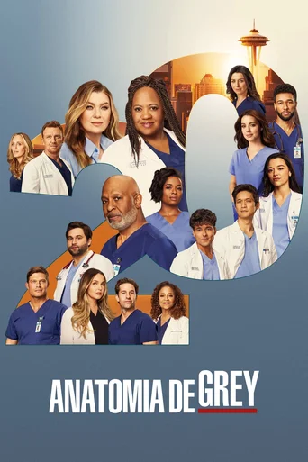 Grey's Anatomy - Temporada 20