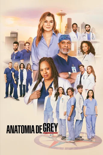 Grey's Anatomy - Temporada 21