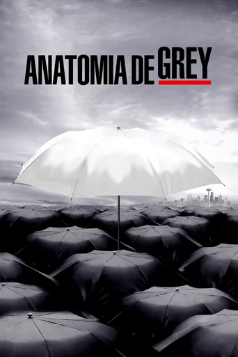 Grey's Anatomy - Temporada 6