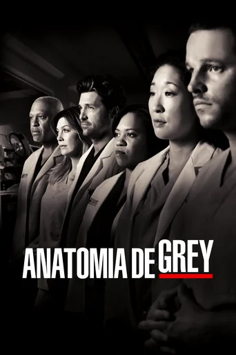 Grey's Anatomy - Temporada 7