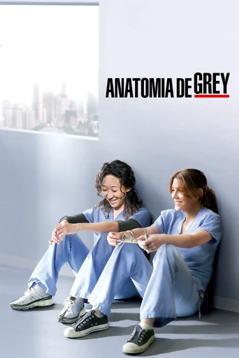 Grey's Anatomy - Temporada 8