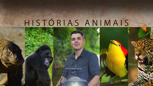 Histórias de Animais