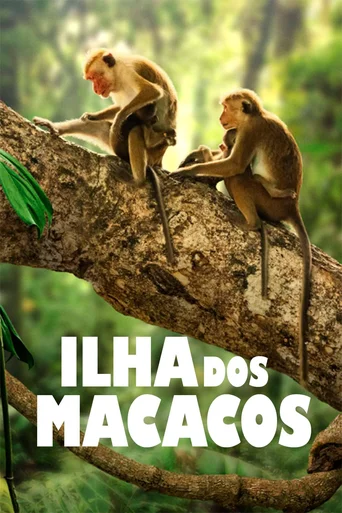 Ilha dos Macacos