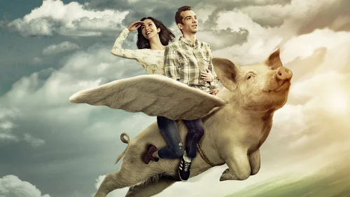 Jovem Solteiro à Procura