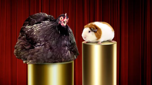 Mascotes Extraordinários