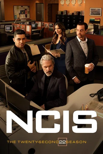 NCIS: Investigação Naval - Temporada 22