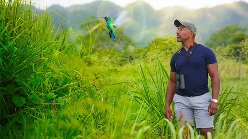 O Extraordinário Observador de Pássaros com Christian Cooper